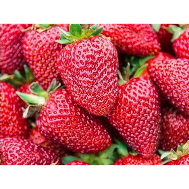 Obrázek produktu ALM Mražené jahody celé 4x2,5kg