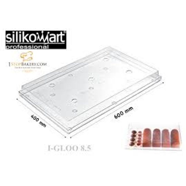 Obrázek produktu SIL PODNOS s víkem 60x40x5,5cm čirý