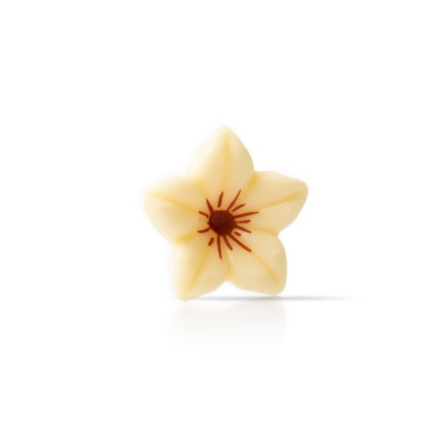 Obrázek produktu DOBLA Dekor Květina bílá 76ks